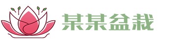 九州ju111官方网站 - ju111net欢迎您